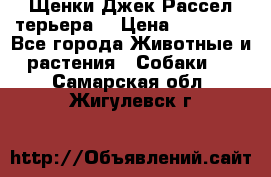 Щенки Джек Рассел терьера  › Цена ­ 15 000 - Все города Животные и растения » Собаки   . Самарская обл.,Жигулевск г.